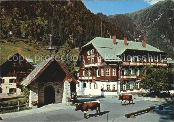 Bad Gastein Hoteldorf Grüner Baum Gaststätte Kühe