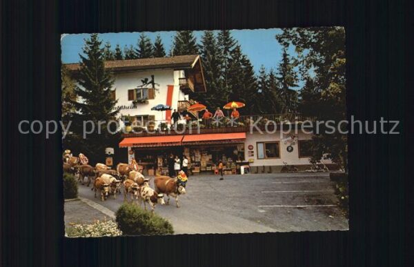 Rettenschoess Sommerfrische Gasthaus Waldheim Almabtr