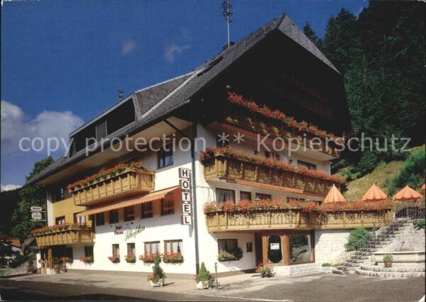 Menzenschwand Hotel Pension Silberfelsen am Feldberg