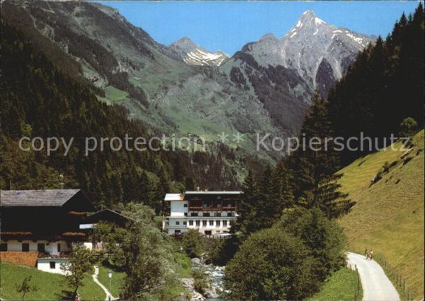 Mayrhofen Zillertal Gasthof Zillergrund Blick gegen Brandbe
