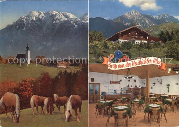 Piding Berggaststätte Neubichleralm am Högl Ha