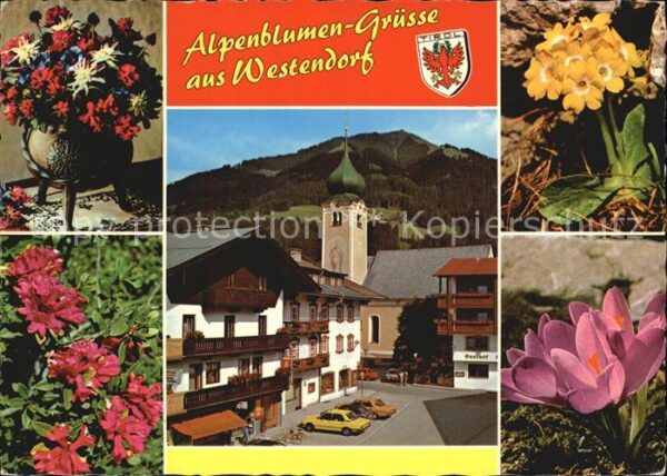 Westendorf Tirol Azaleen Schlüsselblume Krokuse Ortsansi
