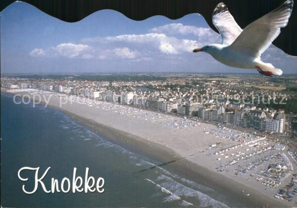 Knokke-Heist Luftaufnahme Strand Möwe