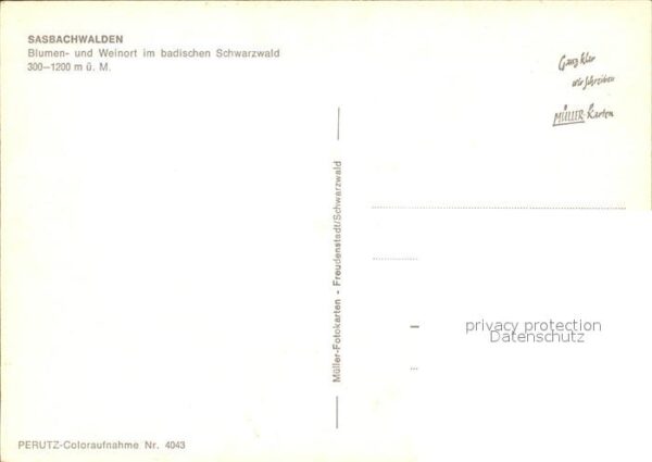 Sasbachwalden Ortsansicht – Bild 2