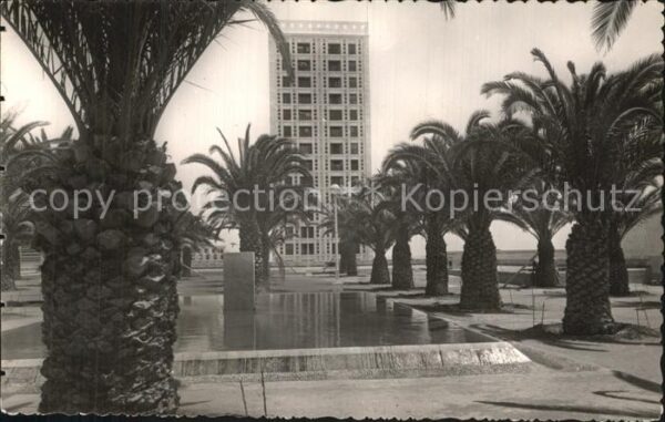 Alger Algerien Municipalite