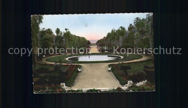 Alger Algerien Jardin Essai