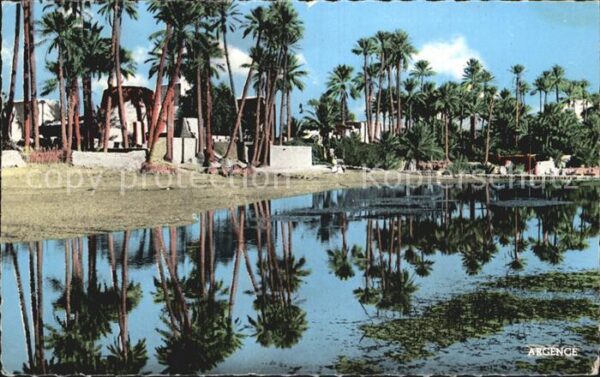 Bechar Paleraie