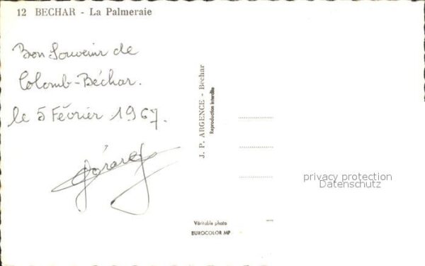 Bechar Paleraie – Bild 2