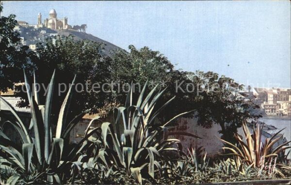 Alger Algerien