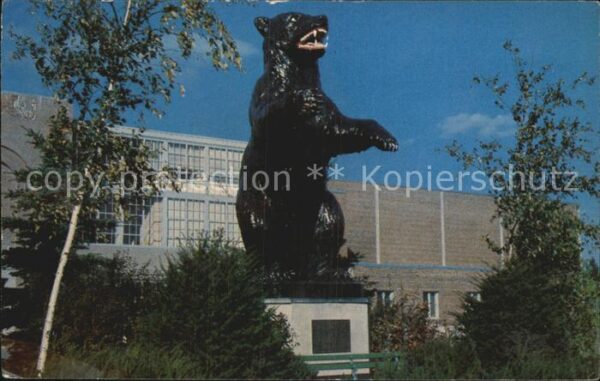 Maine The University of Maine fighting black