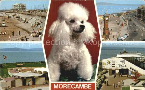 Morecambe Lancashire Sands Leisure Center Promenade Marinela