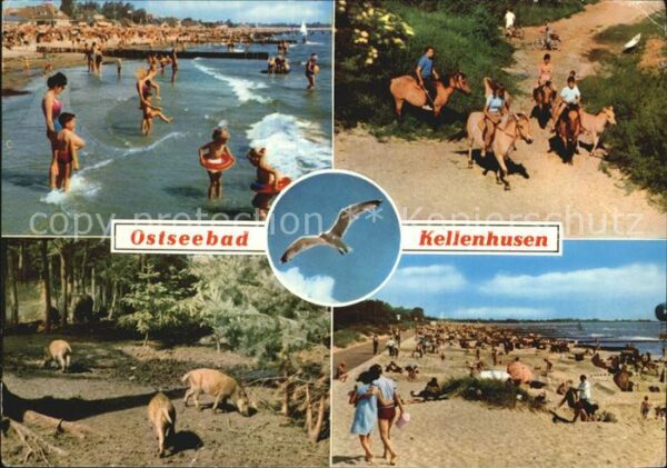 Kellenhusen Ostseebad Strand Dünen Reiter