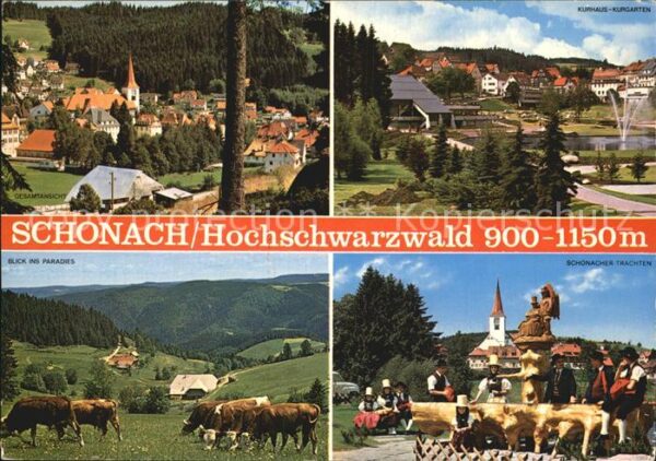 Schonach Schwarzwald Gesamtansicht Kuhweide Kurhaus und Kurg