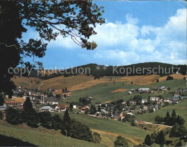 Todtnauberg Panorama
