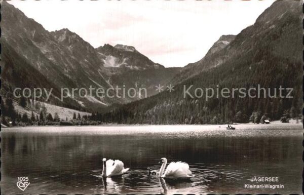 Schwan Jägersee Kleinarl-Wagrain