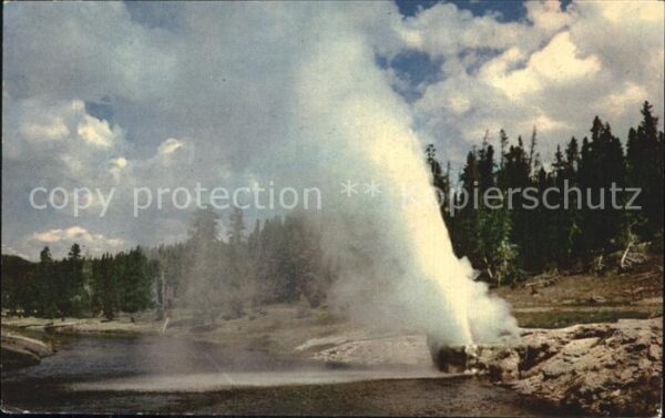 Geysire Vulcans Geysers Vulkane Riverside Geyser Yellowstone Park