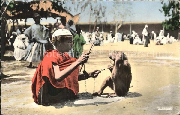 Affen Dresseur de singe Maroc
