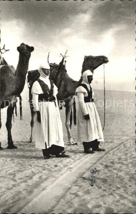 Kamel  Camel Chameau El Oues Meharistes sur le depart