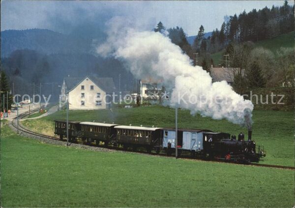 Lokomotive DVZO-Dampfzug ob Neuthal