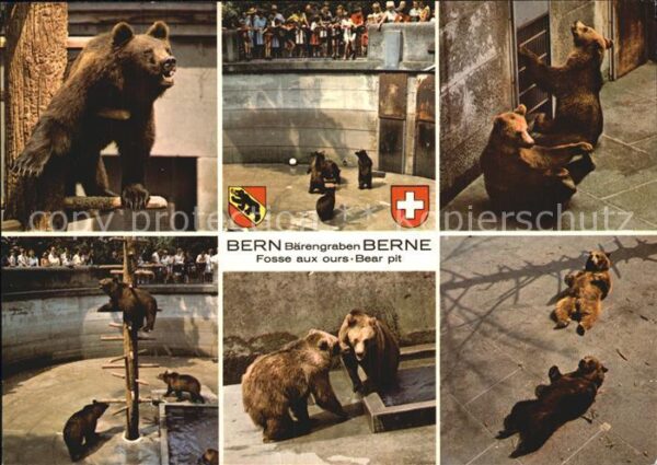 Baeren Bern Bärengraben