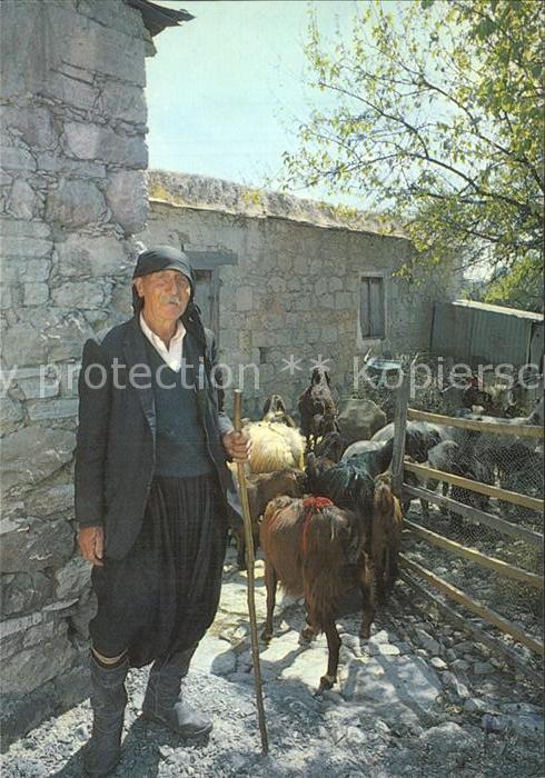 Hirte Cyprus Shepherd
