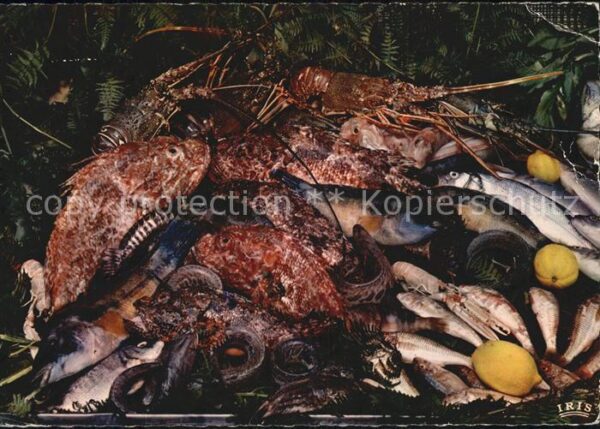 Fische Bonne Bouillabaisse