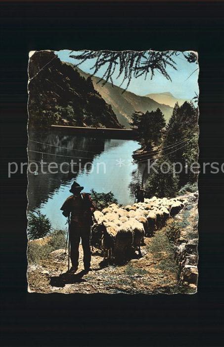 Hirte Schafe Tende Lac des Mesce Route des Me