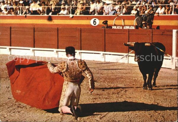 Stierkampf Corrida de Toros Citando de rodillas