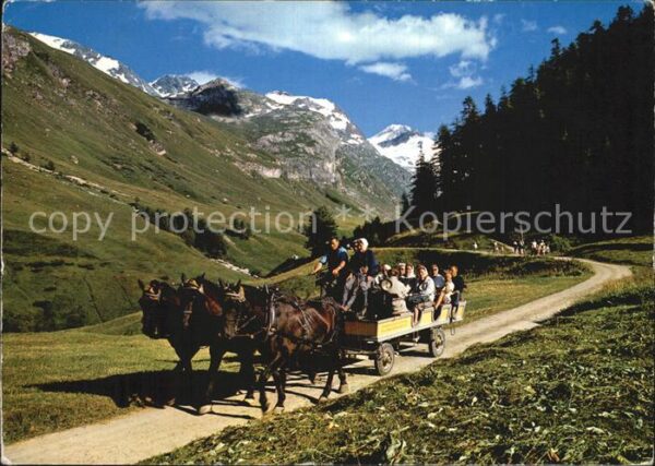 Pferde Pferde-Ausflugs-Omnibus Sils-Fextal