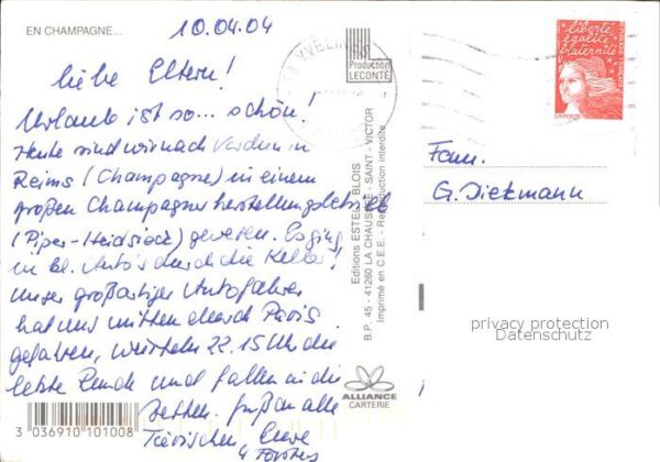 Wein Champagne Weinkeller – Bild 2