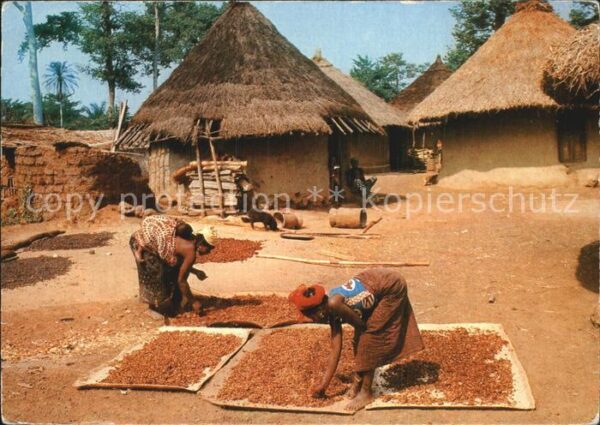 Typen Afrika Vie au Village
