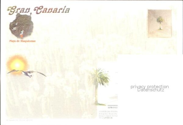 Kamel  Camel Chameau Maspalomas Gran Canaria – Bild 2