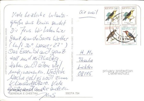 Loewe Giraffengazellen Gepark African Wildlif – Bild 2