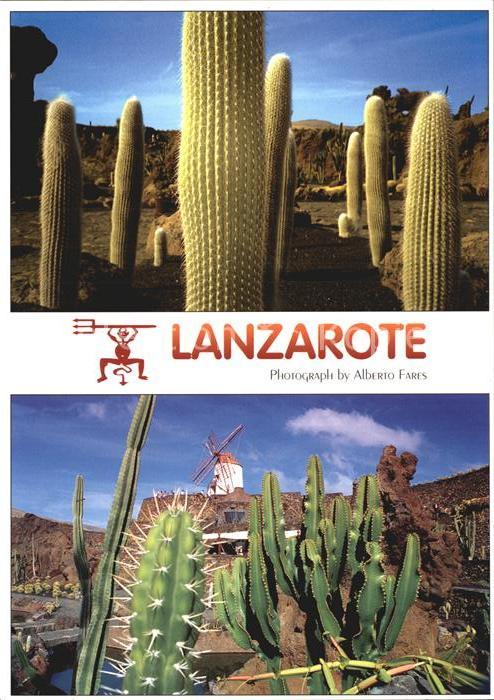 Kakteen Lanzarote