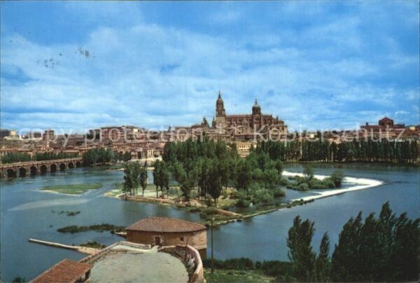 Salamanca Castilla y Leon Vista parcial