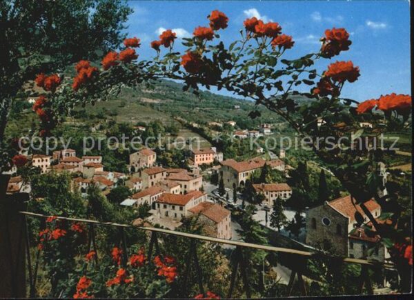 Arqua Petrarca Panorama