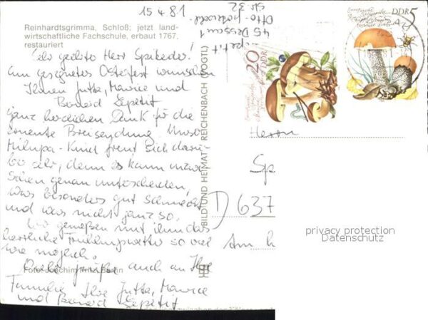 Reinhardtsgrimma Schloss – Bild 2