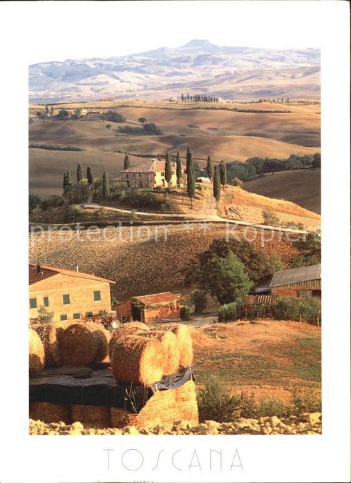 Siena Il Belvedere S Quirico d_Orcia