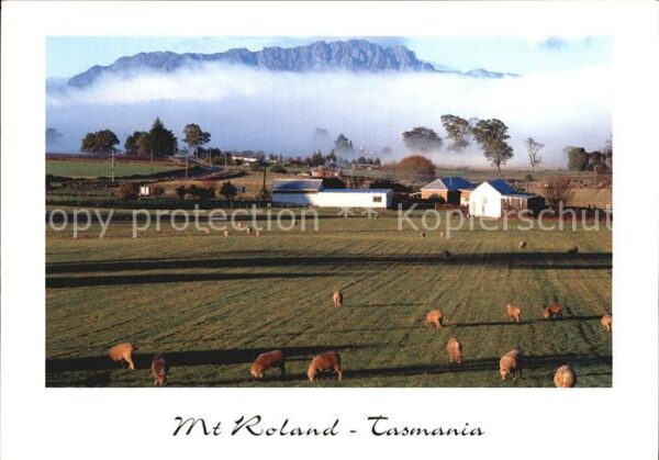 Tasmania Mt Roland rises above green pastures ne