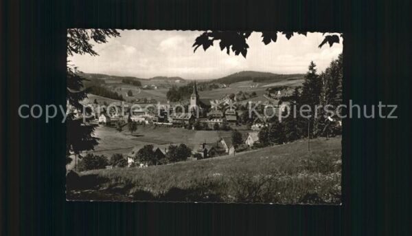 Schonach Schwarzwald Panorama