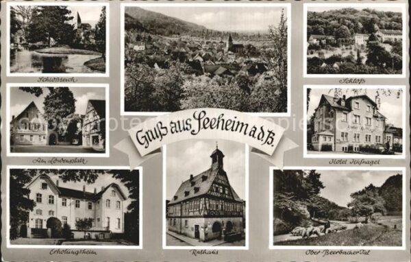 Seeheim-Jugenheim Schlossteich Schloss Löwenplatz Erholun