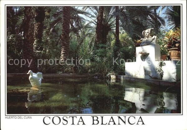 Elche Huerto del Cura