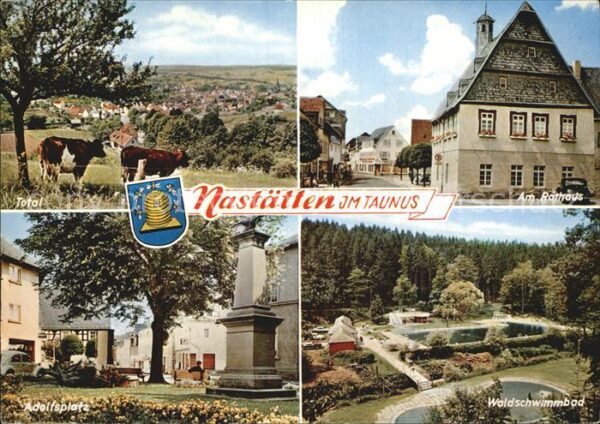 Nastaetten Taunus Panorama Rathaus Adolfsplatz Waldschwim