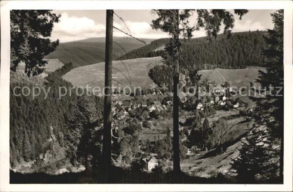 Wildemann Panorama Blick vom Waldrand aus Höhenlu