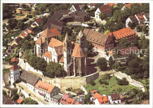 Breisach Rhein St Stephansmünster mit Oberstadt Fliege