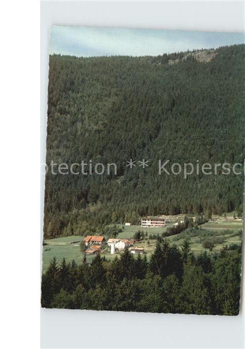 Lohberg Lam Fliegeraufnahme Bergpension Kaptiän Gol