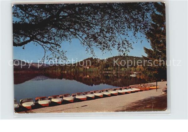 Titisee-Neustadt Boote am See