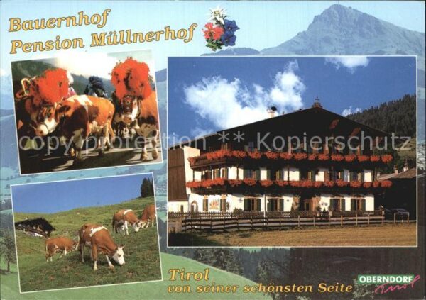 Oberndorf Tirol Bauernhof Müllnerhof