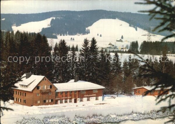 Titisee Schwarzwald GasthausSeebachstüble