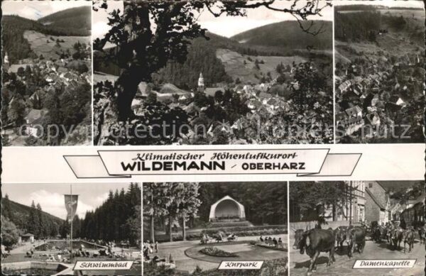 Wildemann Schwimmbad Kurpark Damenkapelle